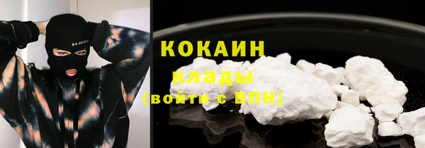 прущие грибы Валуйки