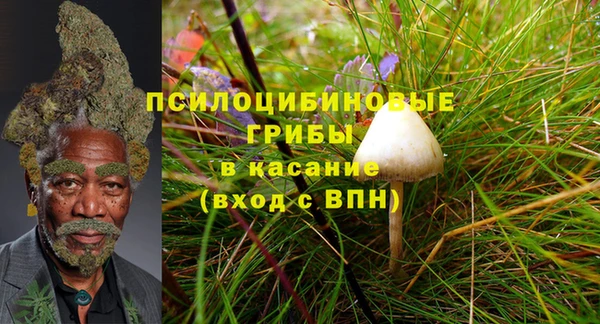 гидра Осташков