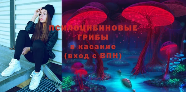 твердый Нягань