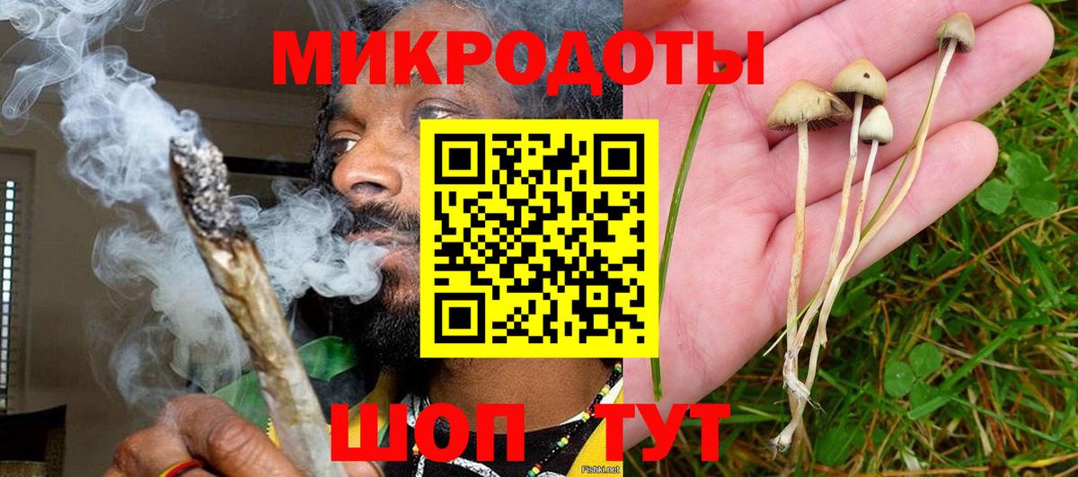 Вязьма  Галлюциногенные грибы Psilocybine cubensis  Галлюциногенные грибы ЛСД  Вход с VPN 